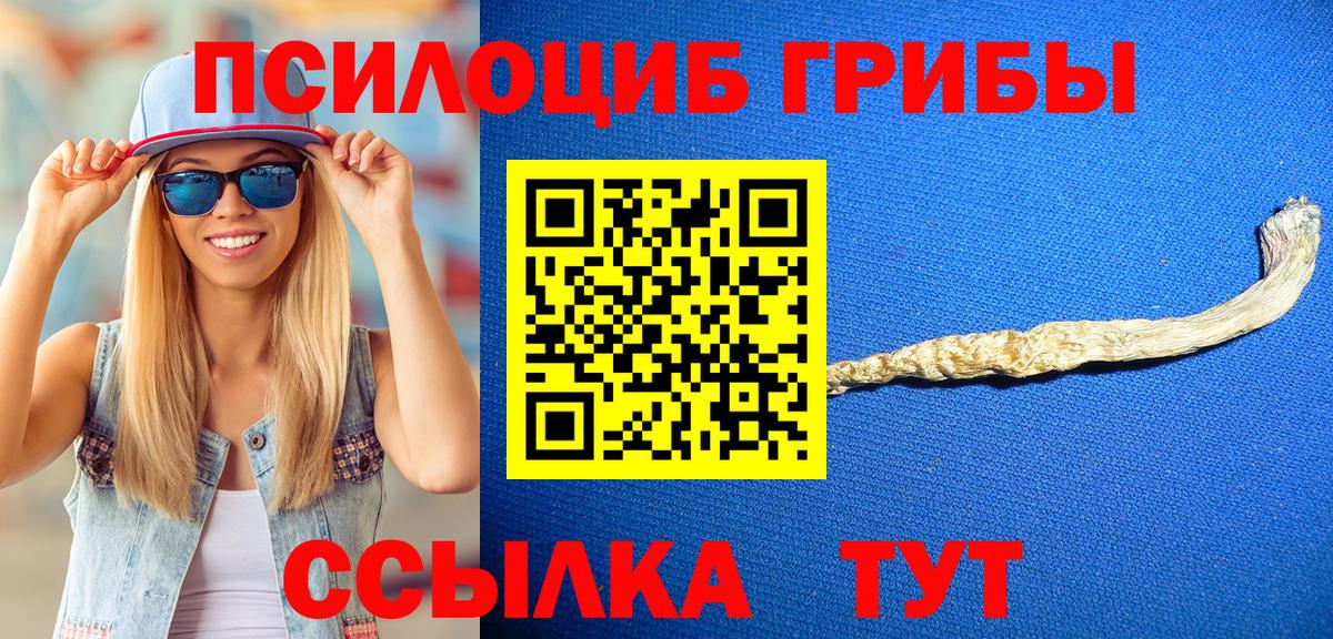 Псилоцибиновые грибы Psilocybine cubensis Нижневартовск